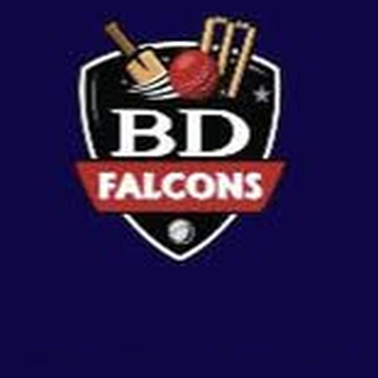 BD Falcons